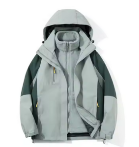 Capture-decran-2025-01-07-155931