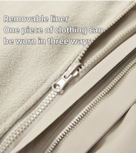 Capture d'écran 2025-01-07 162205