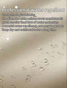 Capture d'écran 2025-01-07 162231