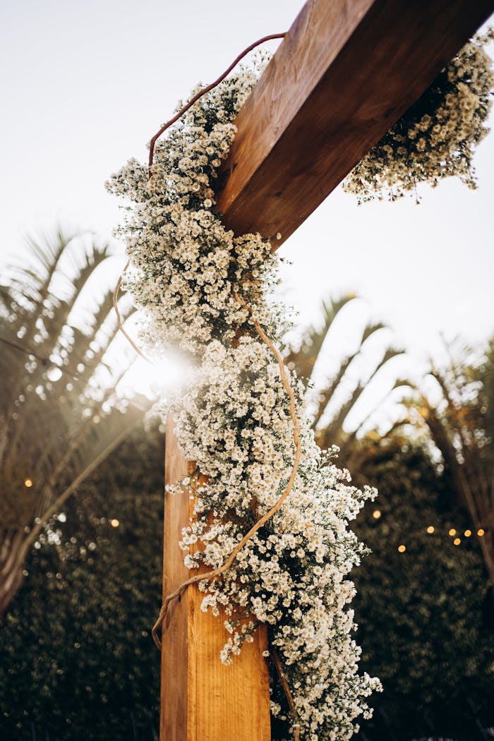 Wooden arch decorated with delicate white flowers under a clear sky at a wedding venue.